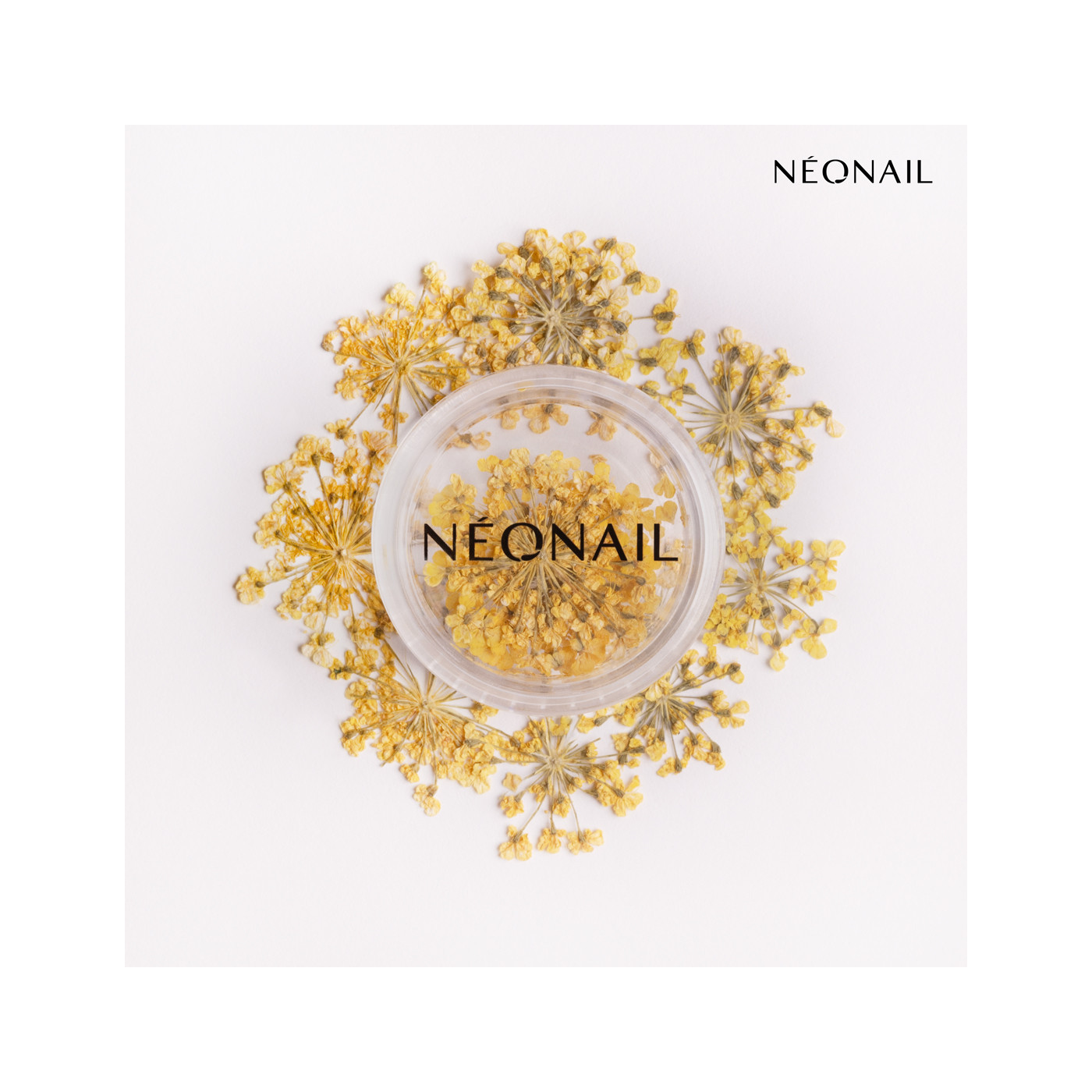 Květinová Dekorace 06| 11087